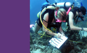 Marine Biologist Salary in United States 【2022】 - CareerExplorer