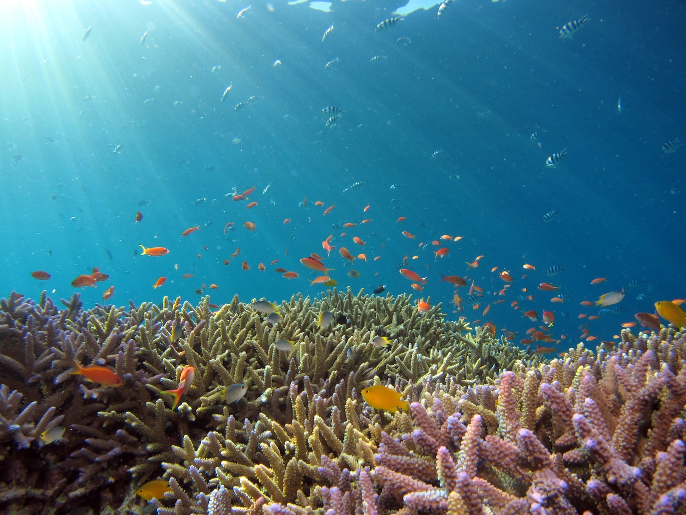 How Much Does An Underwater Welder Make? Get The Facts Here