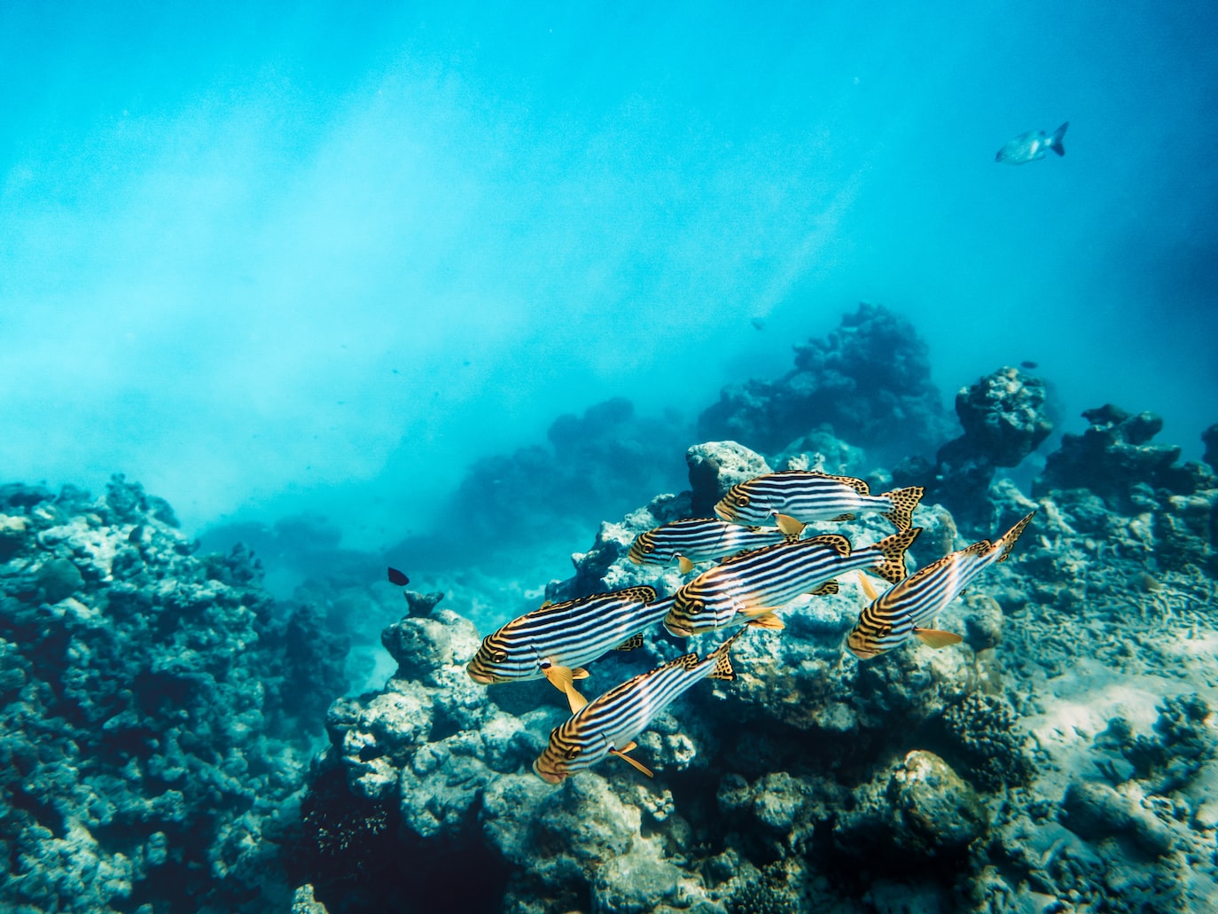 how-much-money-does-an-underwater-welder-make-careerexplorer