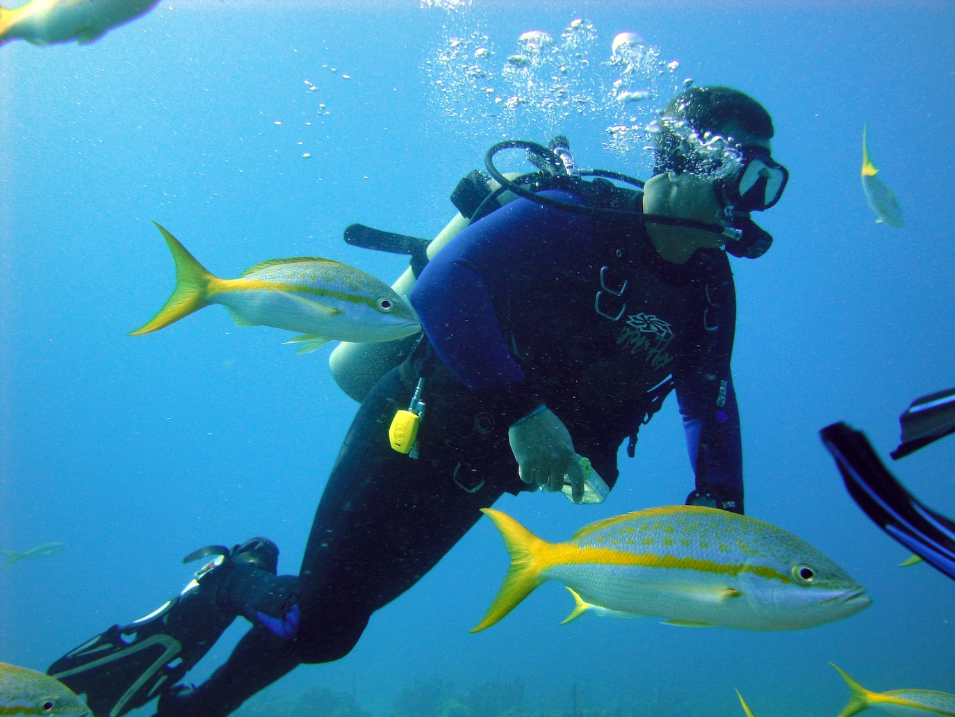 What Is The Life Expectancy of An Underwater Welder? CareerExplorer